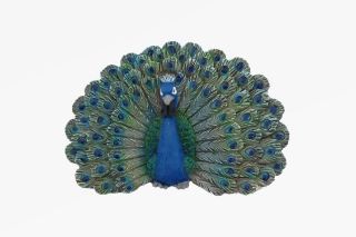 Obrázek z Magnet polyresin - páv 7cm (12) 